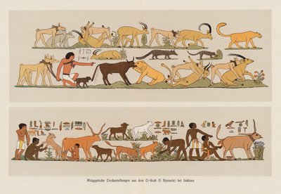 古代エジプトの動物画（カラーリトグラフ） 作： German School