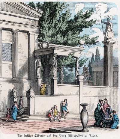  作： German School