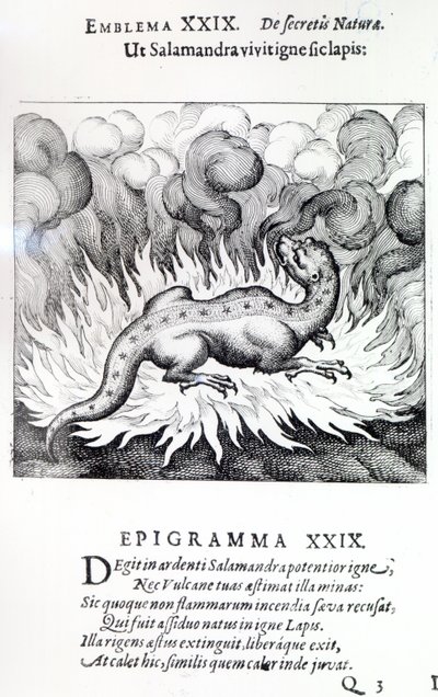 サラマンダーが燃えているように、石、マイケル・マイヤー作のアタランタ・フジエンスのエンブレムXXIX、1617年 作： German School