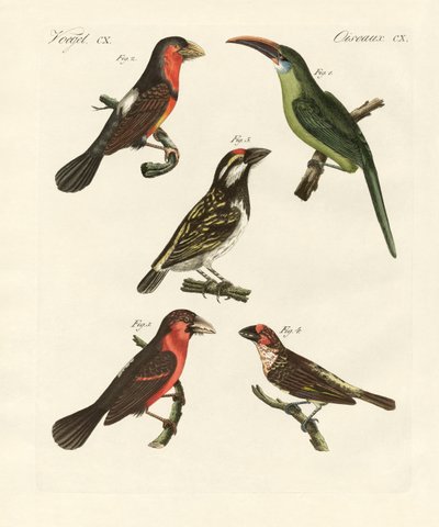 美しく登ってくる鳥たち（彩色済み彫刻 作： German School