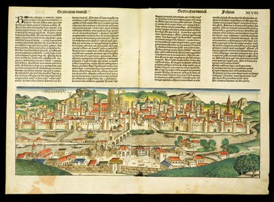 ニュルンベルク年代記からのハリスマンシェデル（1440-1514）1493によるラティスボンの鳥瞰図 作： German School
