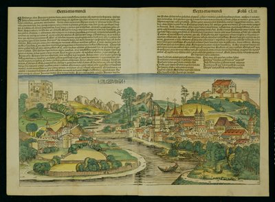 ニュルンベルク年代記から見たザルツブルクの鳥瞰図ハートマンシェデル（1440-1514）1493 作： German School