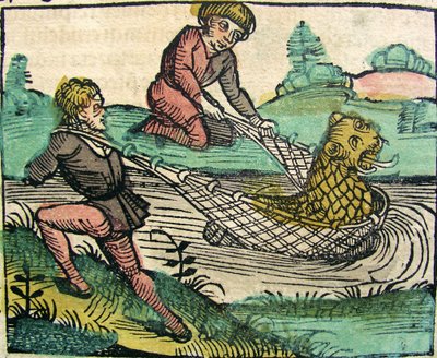 1493年のニュルンベルク年代記に掲載されたライオンキャットフィッシュモンスターの捕獲 作： German School