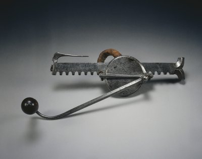 クレーンキン、c.1528（亜麻コードと木製の柄が付いた鋼） 作： German School
