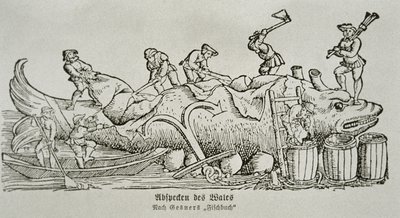 クジラの解体（木版画 作： German School