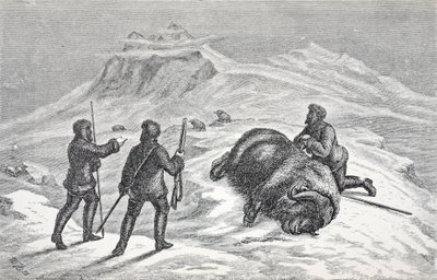 ムスク牛の死、パブ。ロンドン1874 作： German School