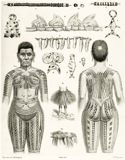 ポリネシアのジュエリー、装飾品、タトゥーのデザインを示す図、1888 作： German School