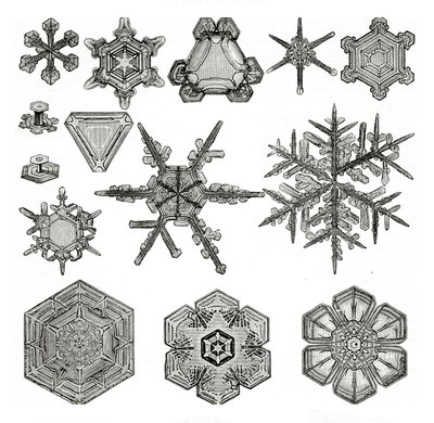 雪の結晶の形の違い 作： German School