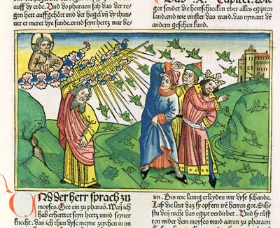 出エジプト記10：1-20エジプトの七つの災い：ニュルンベルク聖書（Biblia Sacra Germanaica）からのイナゴの疫病（色の木版画） 作： German School