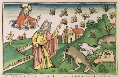 出エジプト記 8 20-32 エジプトの七つの災い: モーセとハエの群れ、「ニュルンベルク聖書 (Biblia Sacra Germanaica)」から (色付きの木版画) 作： German School
