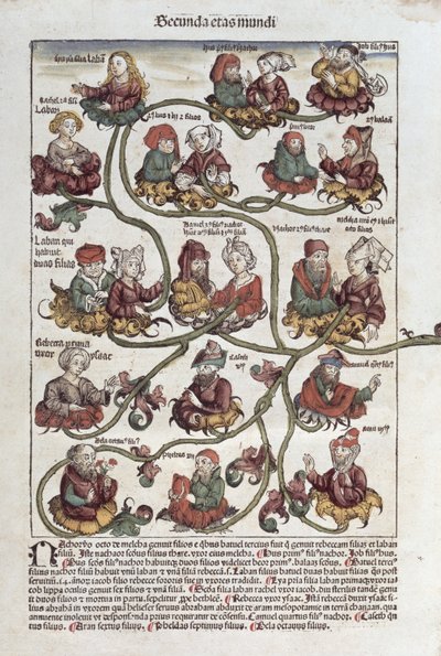 ハートマンシェデル（1440-1514）による &39;Liber Chronicarum&39;からのラバンの系統樹1493（カラー木版） 作： German School