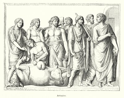 Haruspex（古代ローマの司祭で、犠牲となった動物の骨を調べて未来を予測した）（リトグラフ 作： German School