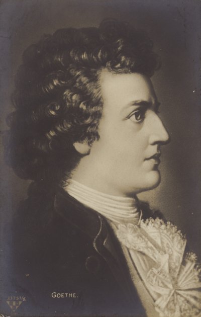 ヨハン・ヴォルフガング・フォン・ゲーテ（1749-1832）ドイツの詩人、小説家、劇作家（リトグラフ） 作： German School