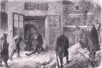 1890年頃にCassell and Company Limitedから出版された『Cassells History of the War between France and Germany』のJardin D