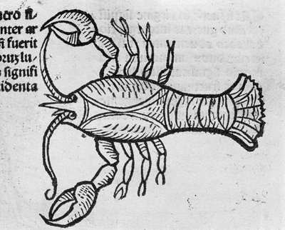 Le Cancer - In Treatise by Johannes Angeli De Magnisconnectionibue annorum revolutionibus ac eorum pefectionibus.アウグスブルク、エルハルト・ラトドルト 作： German School