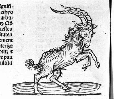 Le Capricorn - In Treatise by Johannes Angeli De Magnisconnectionibue annorum revolutionibus ac eorum pefectionibus.アウグスブルク、エルハルト・ラトドルト 作： German School