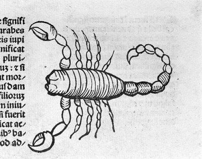 Le Scorpio - In Treatise by Johannes Angeli De Magnisconnectionibue annorum revolutionibus ac eorum pefectionibus.アウグスブルク、エルハルト・ラトドルト 作： German School