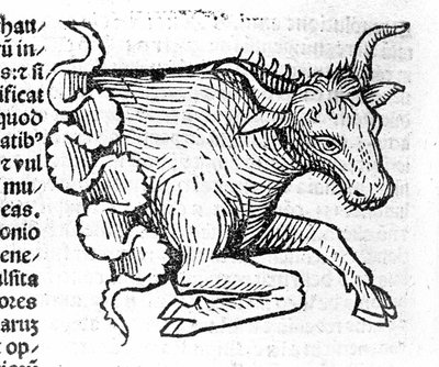 Le Taurus - In Treatise by Johannes Angeli De Magnisconnectionibue annorum revolutionibus ac eorum pefectionibus.アウグスブルク、エルハルト・ラトドルト 作： German School