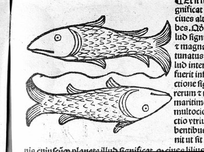Les Pisces - In Treatise by Johannes Angeli De Magnisconnectionibue annorum revolutionibus ac eorum pefectionibus.アウグスブルク、エルハルト・ラトドルト 作： German School