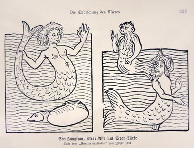 ジェイコブ・マイデンバッハの「Hortus Sanitatis」より人魚とマーマン 作： German School