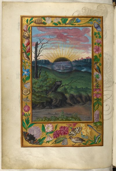 Ms Harley 3469、f.30v The Dark Sun、第 5 論文、Salomon Trismosin 作「Splendor Solis」より 作： German School