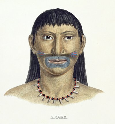 ブラジルのアトラスオブジャーニーヨハンバプティストフォンスピックス（1781-1826）とカールフリードリッヒフィリップマルティウス（1794-1868）による、青いフェイスペイントを施したアララ族の先住民。1835-50年に出版された（カラー 作： German School