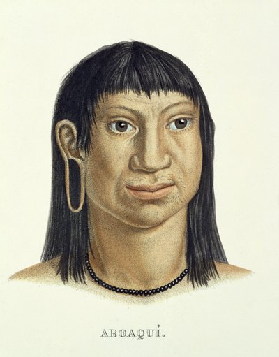 ブラジルのアトラスオブジャーニーヨハンバプティストフォンスピックス（1781-1826）とカールフリードリヒフィリップマルティウス（1794-1868）によるアロアキ族の先住民で、1835-50年頃に出版された 作： German School