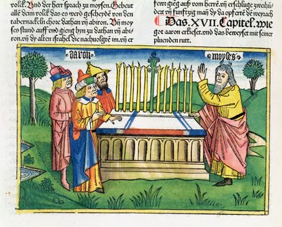 数字17 1-11アーロンのスタッフがニュルンベルクの聖書（Biblia Sacra Germanaica）から祭壇に咲く（色の木版画） 作： German School