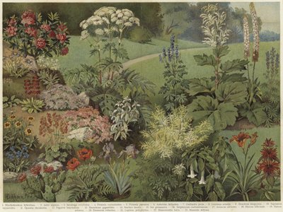 観葉植物 作： German School