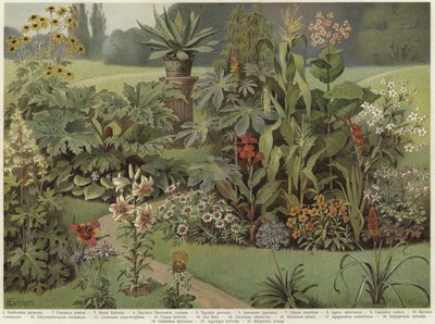 観葉植物 作： German School