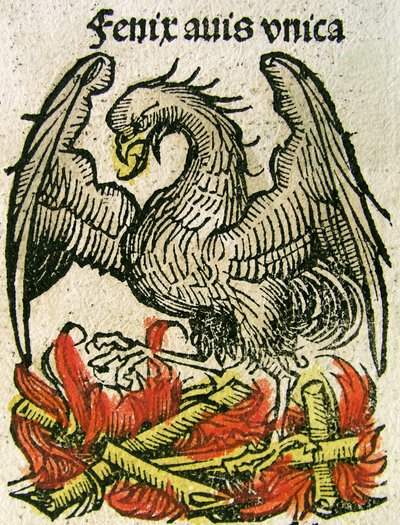 フェニックスは1493年にニュルンベルククロニクルで出版されました 作： German School