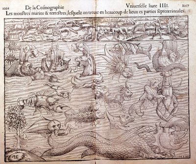 北部地域に生息するあらゆる種類の海洋および陸生のモンスターを表すプレート。Sebastien Munster氏のUniversal Cosmographyから引用したXilography。ベール 作： German School
