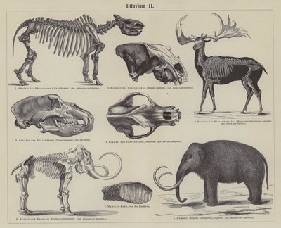 先史時代の動物（彫刻 作： German School