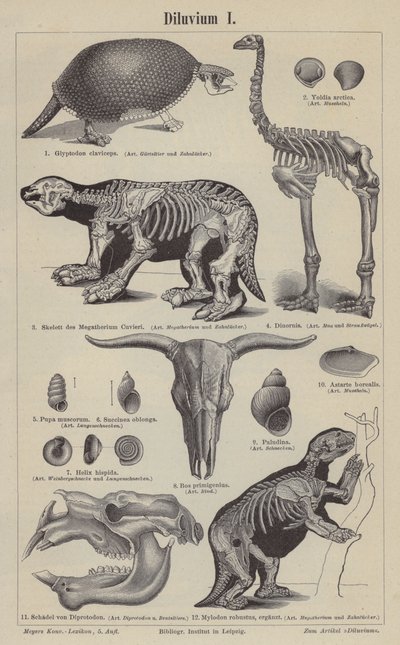 先史時代の動物（彫刻 作： German School