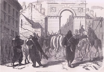 プロイセンの採集部隊が牛を連れてくる様子（Cassells History of the War between France and Germany, published by Cassell and Company Limited, c.1890 (litho) 作： German School