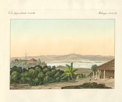 Pulu Penang (カラーの彫刻) 作： German School