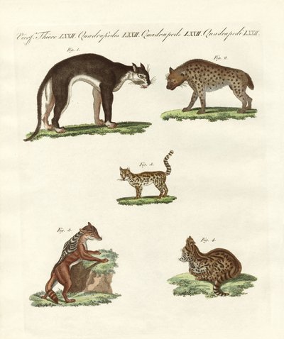 猛獣 作： German School
