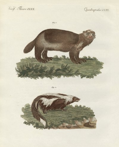 珍しい四足の動物（カラーの彫刻 作： German School