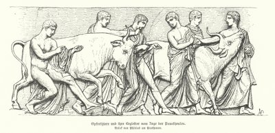 古代ギリシャのパナテナイアの行列に登場する犠牲動物（エングレービング 作： German School