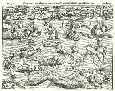 海の生き物（彫刻 作： German School