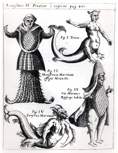 海の怪物、ガスパーショットSJ（1608-66）によるPhysica Curiosaのイラスト、ヴュルツブルク1662を公開 作： German School