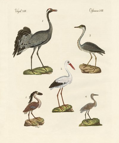 奇妙なビーチの鳥 作： German School