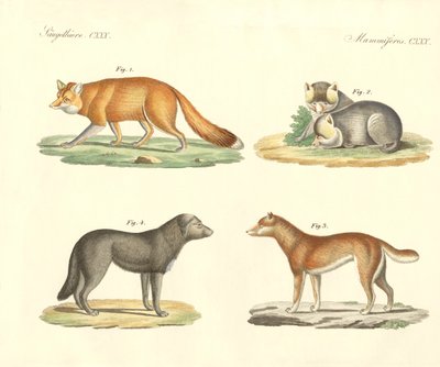 奇妙な犬とキツネ（彩色済み彫刻 作： German School