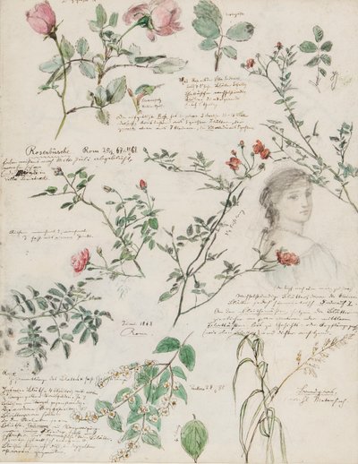 ベルリンのローマとパンコウで作られた植物と人物の研究 作： German School