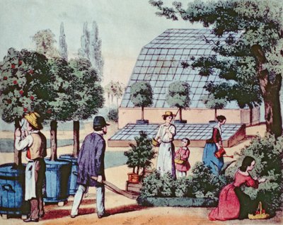 庭の手入れ、1860年頃（カラー彫刻） 作： German School