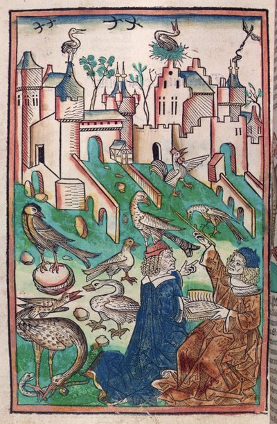 The Birds and Creatures of the Air（鳥と空の生き物）、「Hortus Sanitatis」（「健康の園」）1491年の挿絵（カラー木版画 作： German School