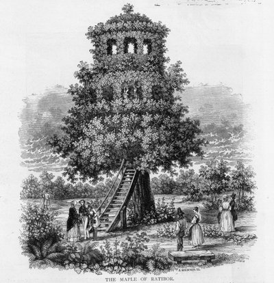 メイプルオブラティボール、シレジア、1893 作： German School