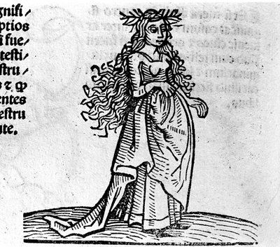 The Virgin - in Treatise by Johannes Angeli De Magnisconnectionibue annorum revolutionibus ac eorum pefectionibus.アウグスブルク、エルハルト・ラトドルト 作： German School