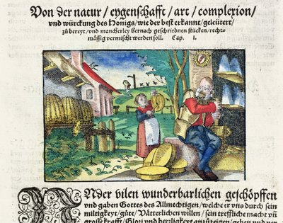 1573年にストラスブールで出版された医薬品に関するドイツの論文（着色された木版）のイラストによる、医学における蜂蜜の癒しと治療の使用 作： German School