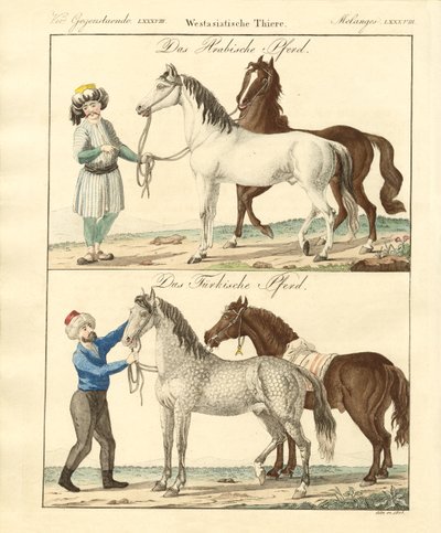 さまざまな種類の馬（彩色済み彫刻 作： German School